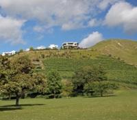  Puketapu Vineyard